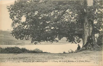 Vallée de Chevreuse — L'Étang du Grand Moulin et le Chêne Creux — R. Fortin, Canteur, n°89