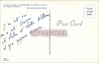 Bougainvillea — Cypress Gardens, Florida — Carta Postal Colorida por William Press, Inc., West Nyack, N.Y. — Verso