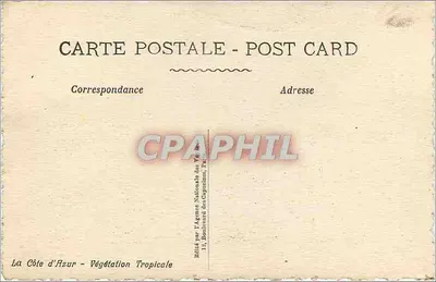 Die Côte d'Azur — Tropische Vegetation — veröffentlicht von der Nationalen Agentur der Hauptstädte, Paris — Rückseite