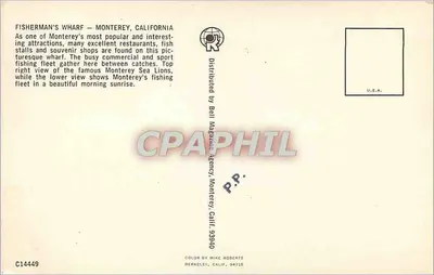 FISHERMAN'S WHARF - Monterey — widok panoramiczny i lwie morze — wydawca Bell Magazine Agency — Rewers