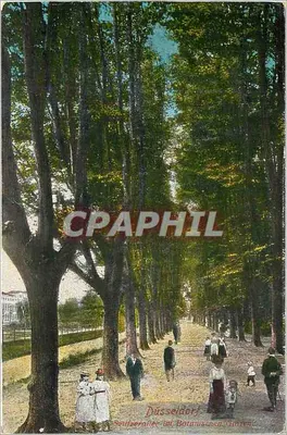 Düsseldorf — Avenida do Jardim Botânico — editor anônimo, número de série não visível