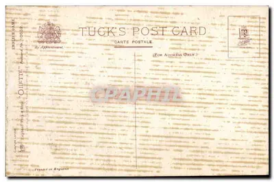 Dwa kaczki — scena polowa — Tuck & Son, seria 10052 — Rewers