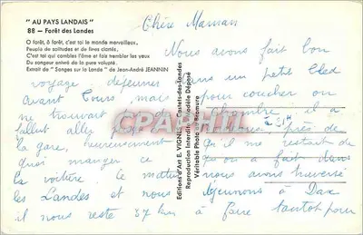 लैंडेस के जंगल — लैंडेस के जंगल — कला संस्करण ई. विग्नेस — पीछे
