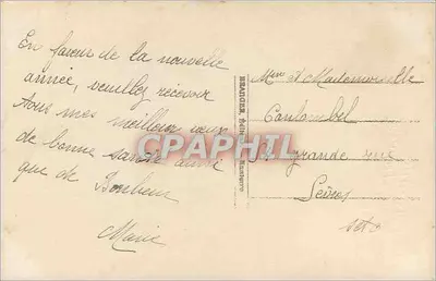 Jovem mulher vestindo um vestido rosa segurando um arbusto de gui — Boa Ano — editor S.S. n° 4302 — Verso