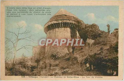 Tiffauges (Vendée) — Castelo de Barbe-Bleue — Torre de Vidame — n°104