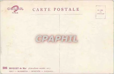 Muguet de Mai — Lily — Mughetto — Muguet — (Convallaria majalis var.) — COLOR PARIS n°508 — Rewers