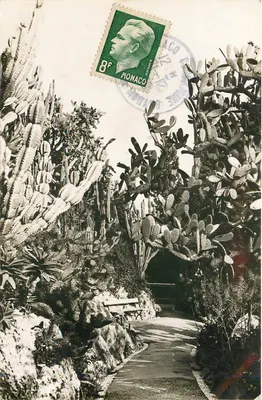 Jardim Exótico de Mônaco — Cactos e suculentas — Edições de Luxo
