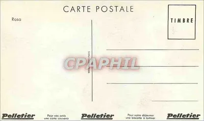 Rosas vermelhas — com laço amarelo — Pelletier, Paris — Verso