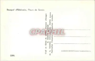 Bouquet d'Edelweiss, Fleurs de Savoie — G. ROSSAT, Chasseur d'images, Amécy — Rewers