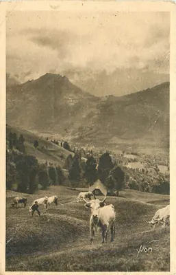 Piquete na Estrada do Col d'Aspin — Os Pirineus — Edições d'Art Yvon, Paris