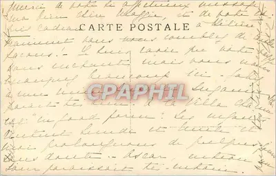 Árvore de pinheiro — paisagem costeira — Carte postale — Verso