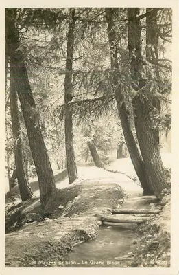 Les Mayens de Sion — Le Grand Bisse — Edição Art. Pennebattile, Lausanne, n°4383
