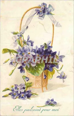 Violetas em um cesto — Editora K.V.I.B. n° 415