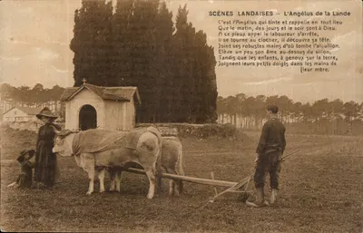 Cenas Landaisas — O Ângelus da Lande — Edições G. Marchand, Dax