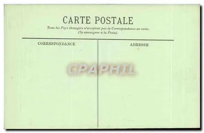 Pies Pyreńskowy — LL. — n° 206 — Rewers