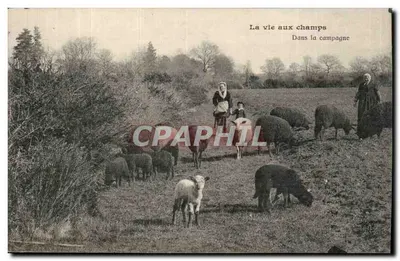 A vida nos campos — Na campina — Editora: Héloïse, Amiens (ou La Somme)