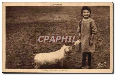 Jovem recém-nascido da Auvergne — Goutefanges — G d'O