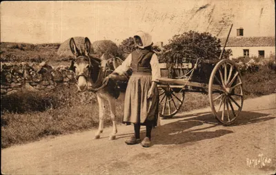Kobieta i osioł w spoczynku — transport warkoczy — wydawca Raymond Bergevin, n° 21102