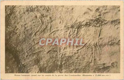 Rena brincando — gravura pré-histórica — Gruta dos Combarelles
