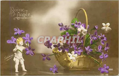 Boa Ano — violetas e anjo — Gloria, n° 360