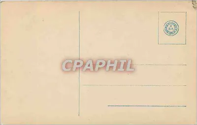 Gatto bianco — studio — NRC n°2447 — Verso