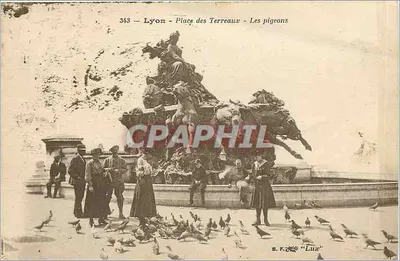 Lyon - Place des Terreaux - Les pigeons — Série 343, éditée par B.F. 'Lua'