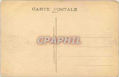 Plage du Lac CHAMBON — La gran foresta de abetos — G. D'O. - 6062 — Reverso