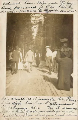 Promenade en forêt — Bern, Suisse — carte postale datée 26 septembre 1908
