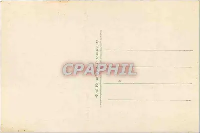 Meeuwen rond het Paleis van de Jetée — NICE — Uitgever CAP, n° 827 — Achterkant