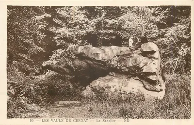 Les Vaulx de Cernay — O Javali — ND