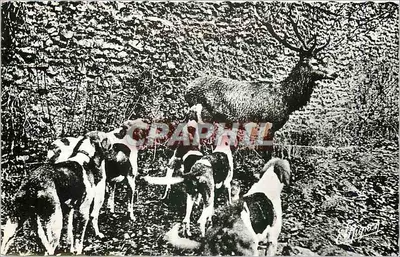 Caça ao cervo — Saint-Léger-en-Yvelines — Ed. de Luxe E. Mignon (Yonne)