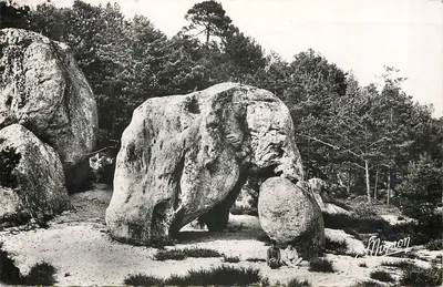 O Rocha do Elefante — Larchant (S.-et-M.) — Photo-Mignon
