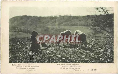 Paisagem rural com dois carneiros e uma pessoa — poema de A. Negri — editor A. Negri, número de série não visível
