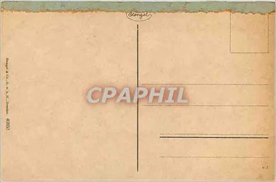 Mainz — Total von der Rheinseite — Stengel & Co. m.b.H., Dresden, n° 40563 — Verso