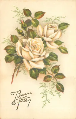 Arranjo de rosas brancas — Boa Festa — Imprimerie M.D. Paris, série 3050