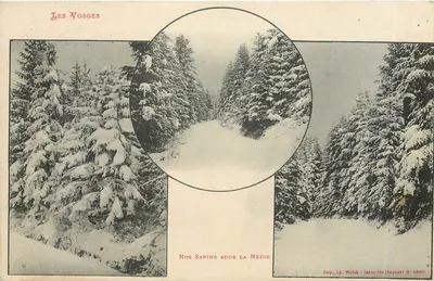 Os Vosges — Nossos Pinheiros sob a Neve — Imp. Ad. Welak - Saint-Dié (Depositado) N° 4866