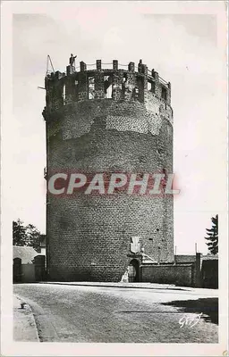 Torre Cinza — Século XV — Edições Gaby