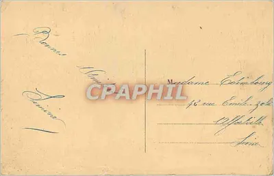 Nevers — Katedra widziana przez akacje — 214 — Rewers