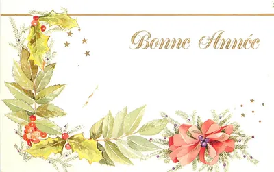 Carta de boas-vindas de fim de ano — decorações de hortência e poinsettia — editor Union-Graphiques
