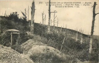 As Ruínas da Grande Guerra — Argonne — 511
