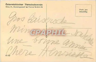 Dwa jeleń w śniegu — kartka z witań Bożego Narodzenia — Österreichischer Tierschutzverein, Wien, nr 53 — Rewers