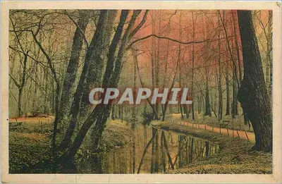 Le Parc de la Tête d'Or — LYON — Série 200 — Éditeur G.A.N.