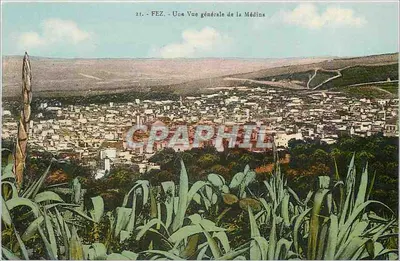 Fès — Vista geral da Médina — n°21