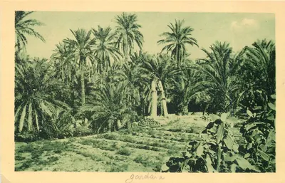 Ghardaïa — Oasis e Poço