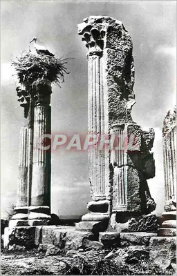 Cegonhas — Volubilis — Entrada da Casa das Colunas