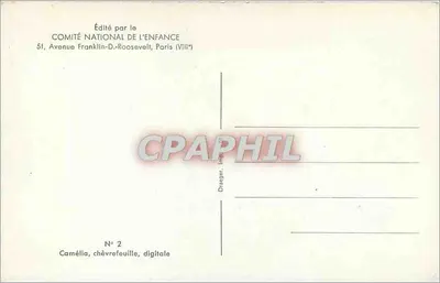 Bukiet kwiatów — kamelia, liść wawrzynowy, digitale — wydane przez COMITÉ NATIONAL DE L'ENFANCE, Paryż — Rewers