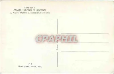 Pomarańcza — kwiat, liść, owoc — wydane przez KOMITÉ NATIONAL DE L'ENFANCE, N° 3 — Rewers
