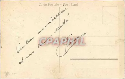 Campo di margherite e farfalle — Cartolina d'anniversario — Editore: 4143 — Verso