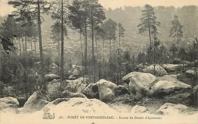 Floresta de Fontainebleau — Entrada do Deserto de Apremont — n° 387