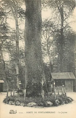 Floresta de Fontainebleau — Le Jupiter — editor S.P.R. n°2772